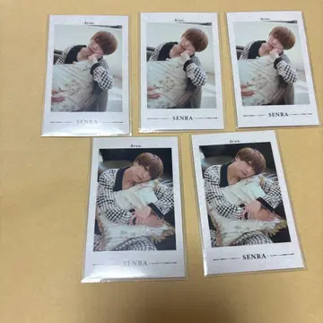 우라시마사카타센 센라 Senra 폴라로이드 Brun