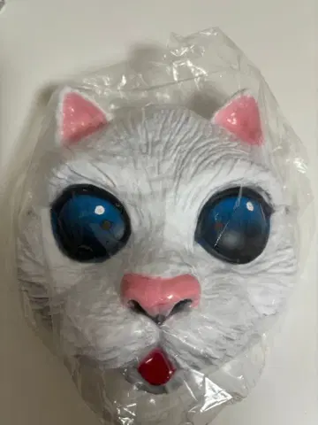 야노베 켄지 쉽스캣 가면 눈 색깔 블루