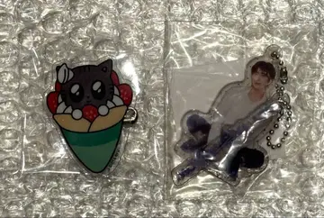 TXT POPUP 아크릴 배지 키링 다고냥 태현 2종 세트