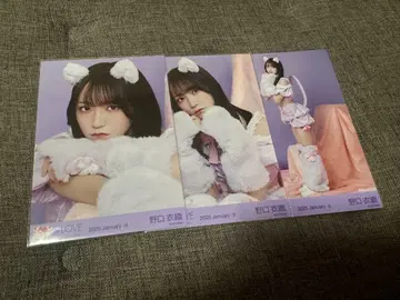 =LOVE 노구치 이오리 고양이 의상 브로마이드 컴프