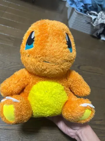 리자몽 봉제 인형 본체