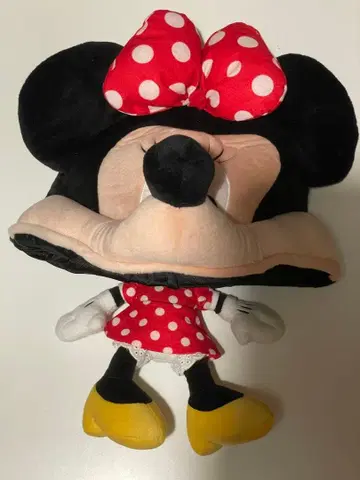 디즈니 미니 팬캡