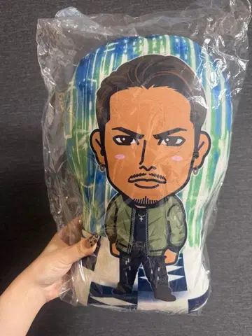 이마이치 류지 쿠션 대나무 숲