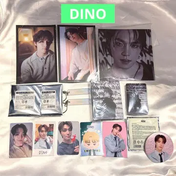 SEVENTEEN 디노 DINO 굿즈 모음
