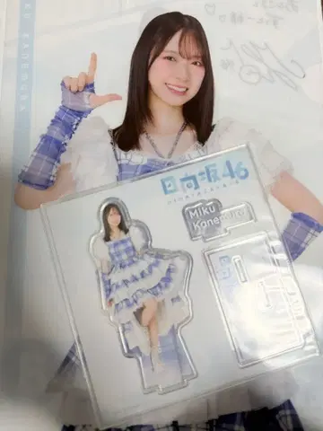 히나타자카46 제일복권 카네무라 미쿠 아크릴 스탠드 클리어 파일