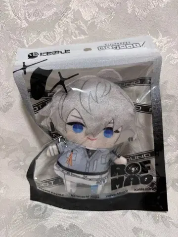 카이이다 하루 누이