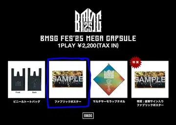 BMSG FES 패브릭 포스터