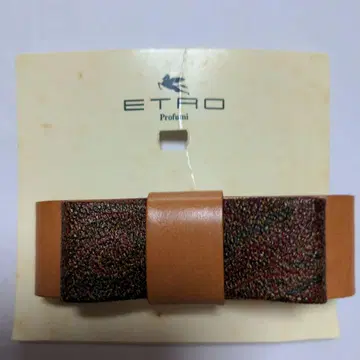 ETRO/ 페이즐리 무늬 머리핀