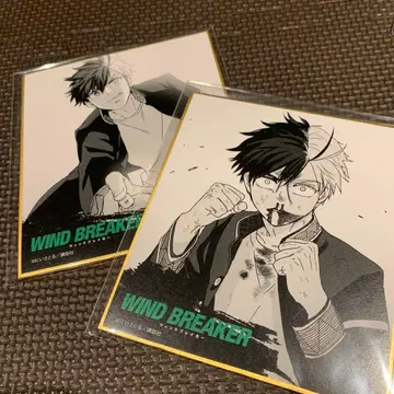 WIND BREAKER 윈브레 사쿠라 하루카 색지 원작 일러스트