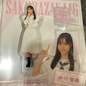 사쿠라자카46 나카가와 치히로 아크릴 배지 아크릴 스탠드
