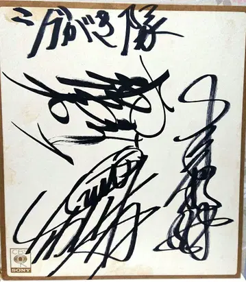 시부카키타이 친필 사인 색지 아이돌 쟈니즈 SONY 소니 공식