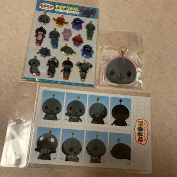 교육 방송 현실 팝업 타마