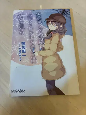 청춘 라디오는 화이트 크리스마스의 꿈을 꾼다.