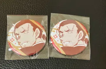 명탐정 코난 코난랜드 캔뱃지 나가노 시리즈 야마토 칸스케 나가노현경 2점