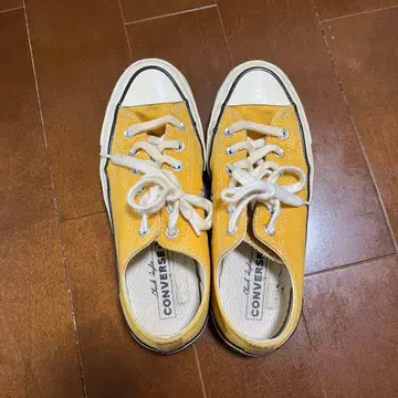 ct70 24cm 썬플라워