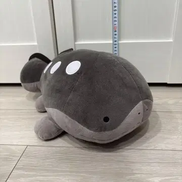 포켓몬 메챠모후굿토 봉제 인형 도오