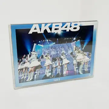 AKB48 단독 콘서트 15년째의 도전 DVD 식별2