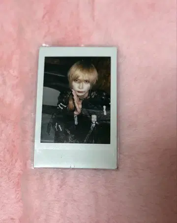 XP!A 하쿠 핑 폴라로이드