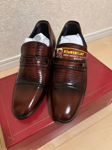 KITAJIMA 브라운 크로커다일풍 드레스 신발 (새상품, 미사용)