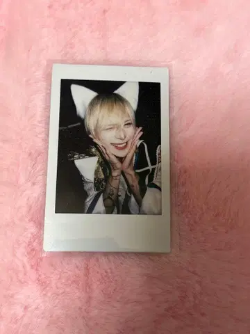 XP!A 착용 핑 폴라로이드