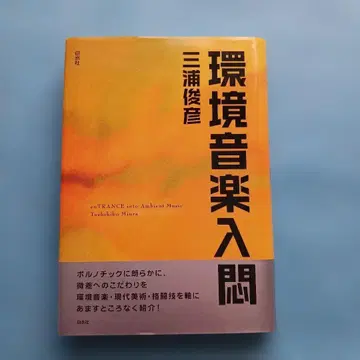 환경 음악 입문