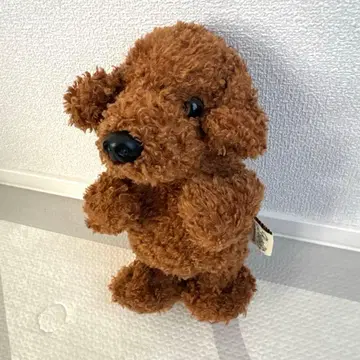 베스트에버 재팬 토이 푸들 말하는 봉제 인형