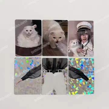 [ 낱개 판매 가능 ]  트레이딩 카드