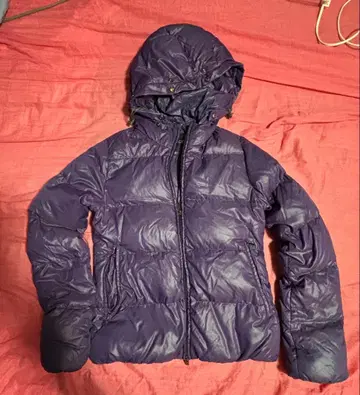 DUVETICA 후드 부착 퍼플 다운 자켓 38