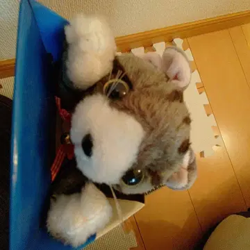 # 고양이 봉제 인형 그레이 빨간색 리본