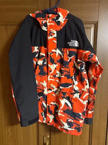 THE NORTH FACE 고어텍스 마운틴 후드티 L