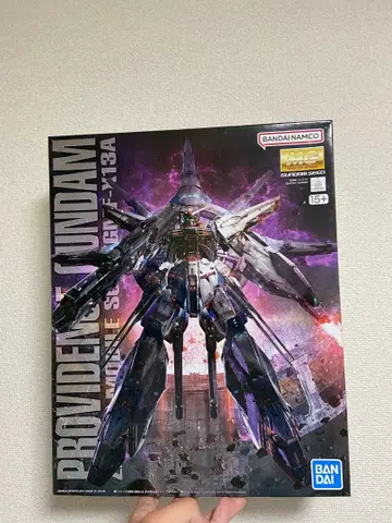 MG 1/100 프로비던스 건담