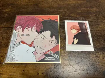 기븐전 입장 특전 색지 릿카&마후유 리츠마후