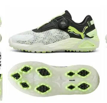 PUMA 2025 샤우캣 나이트로 DISC 골프화