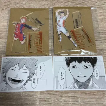 하이큐 10th 크로니클 히나타 카게야마 세트