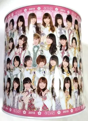 (미사용) 저금통 2015 AKB48