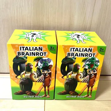 ITALIAN BRAINROT 블라인드 박스 2개 세트 c와 d