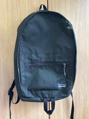 단종 Patagonia 백팩