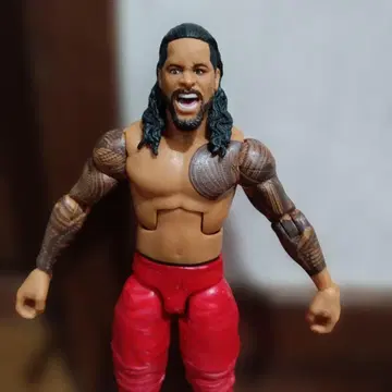 WWE 피규어