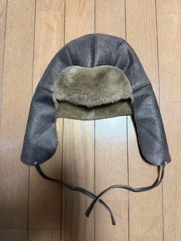 고샤 루브친스키 플라이트 캡