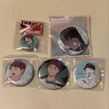 오이카와 캔뱃지