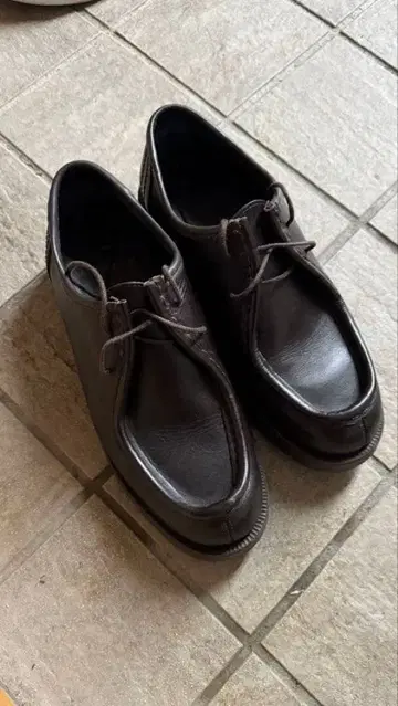 KLEMAN PADRE(PADROR) 마론 다크 브라운