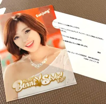 미사용 T-ARA 은정 미니 클리어 파일