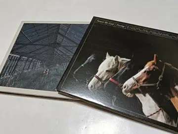 FOXING CD 2장 Nearer My God DEALER