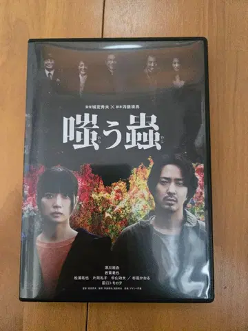 영화 는 벌레 DVD 일반 버전