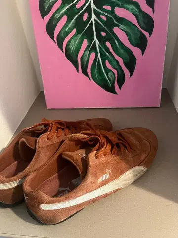 푸마 브라운 스웨이드 스니커즈 스피도캣