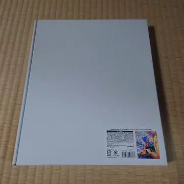 파라라이 코즈메즈 캔버스 보드