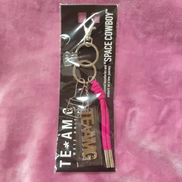 이와타 타카노리 백참 2