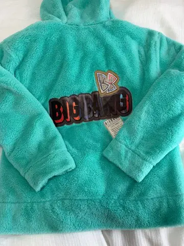 BIGBANG LAST DANCE 보아 후드티