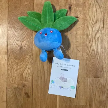 소리가 나는 완구 봉제 인형 My Little Bestie 이상한 풀