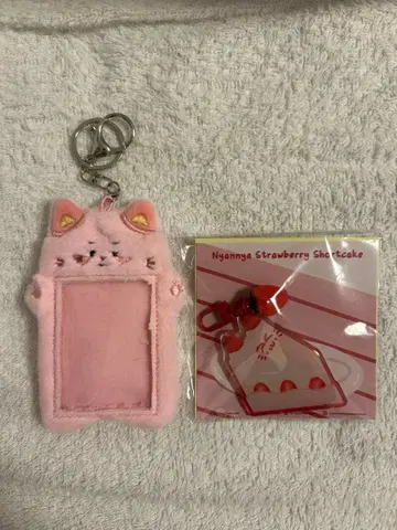 Astro 문빈 트레이딩 카드 케이스 키링 세트